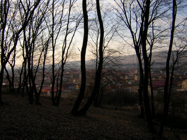 Original image